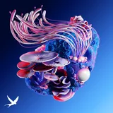 Cover art for Nightshapes (feat. Tyoz), Korolova & MotherEarth