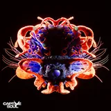 Cover art for Distorted Love, Korolova & Be No Rain